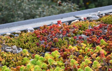the cost of The Bourne green roof installation